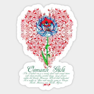 Osmanlı Gülü Sticker